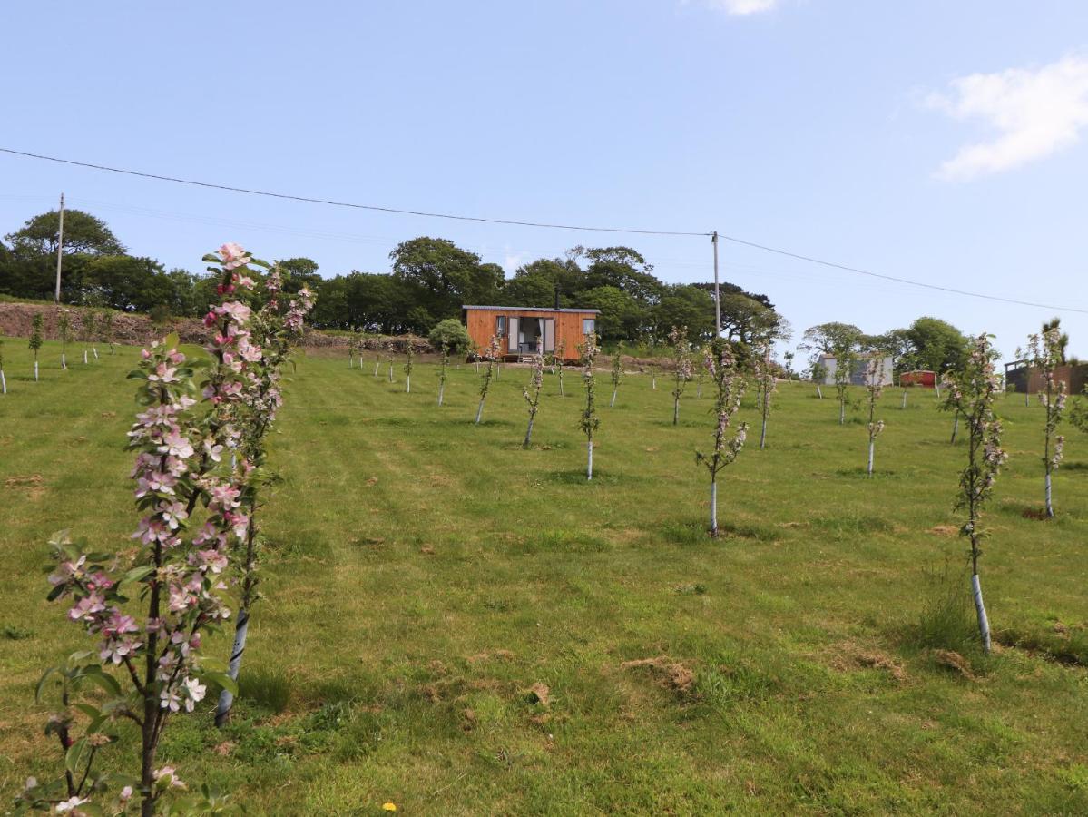 Villa Little Pip Penzance Exterior foto